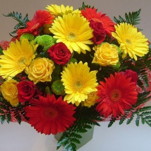 Výsledky okresního kola Olympiády v německém jazyce