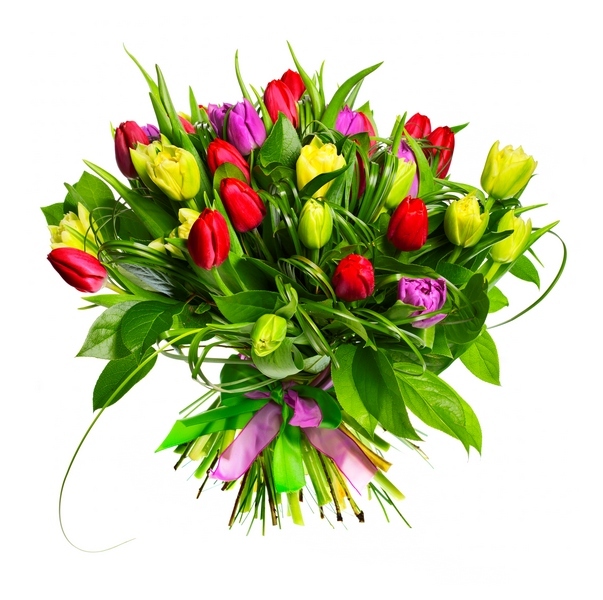 Výsledky okresních kol konverzační soutěže v němčině