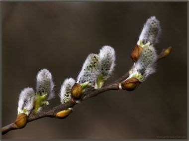 Půst-lék pro tělo i duši