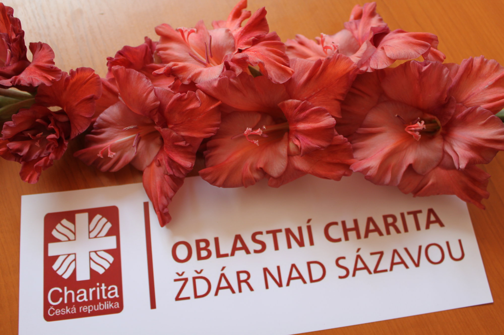 Spolupráce s Kambalou