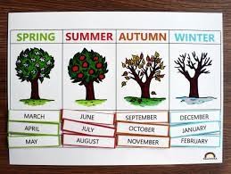 Angličtina v roce 2023-24